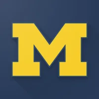 Michigan Wolverines Football N